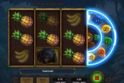 Rainforest Riches