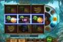 Rainforest Riches