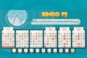 Bingo 75