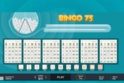 Bingo 75