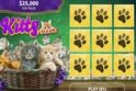 Kitty Puzzle