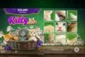 Kitty Puzzle