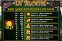 In Bloom