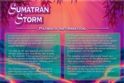 Sumatran Storm
