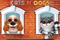 Cats 'N' Dogs