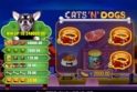 Cats 'N' Dogs