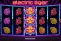 Electric Tiger