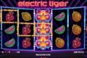 Electric Tiger