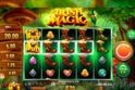 Irish Magic