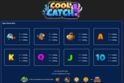 Cool Catch