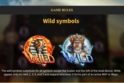 Wild Gods