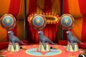Circus Bingo