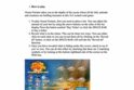 Ocean Fortune