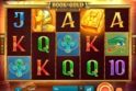 Book of Gold: Double Chance