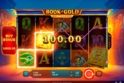 Book of Gold Multichance