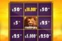 Hot Safari Scratchcard