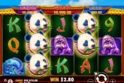 Panda's Fortune 2