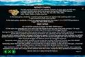 Big Bass Bonanza 3 Reeler
