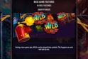 Wild Streets