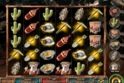 Gold Rush Riches