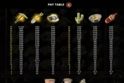 Gold Rush Riches