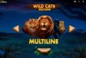 Wild Cats Multiline