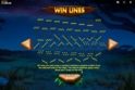 Wild Cats Multiline