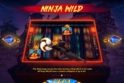 Ninja Ways