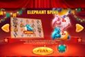 Wild Circus