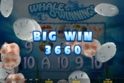 Whale O' Winnings
