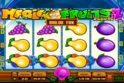 Magic Fruits 4 Deluxe