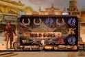 Wild Guns