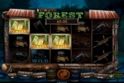 In the Forest