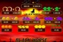 Black Horse™