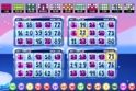 Bingo Iglu