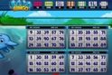 Boto Bingo