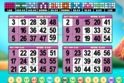 Bingo Billion Llama