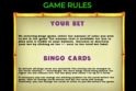 Bingo Billion Llama
