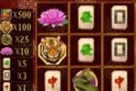 Dragon Reveal