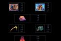9k Yeti
