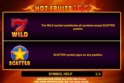 Hot Fruits 100