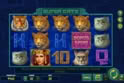 Super Cats