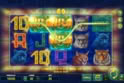 Super Cats