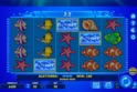 Wild Shark Bonus Buy
