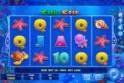 Cash Crab