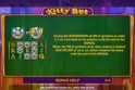 Kitty Bet