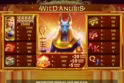 Wild Anubis