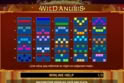 Wild Anubis