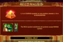 Wild Anubis