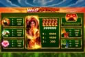 Wild Volcano